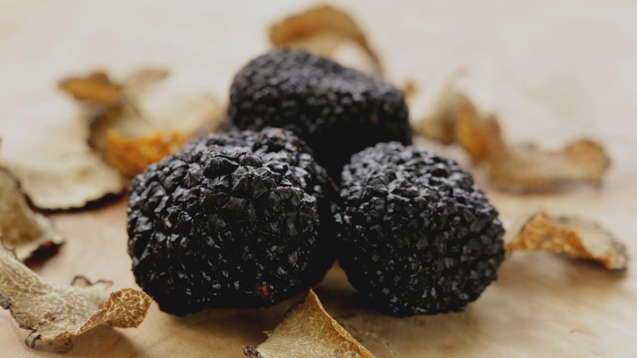 The World’s Strongest – Aroma Truffle